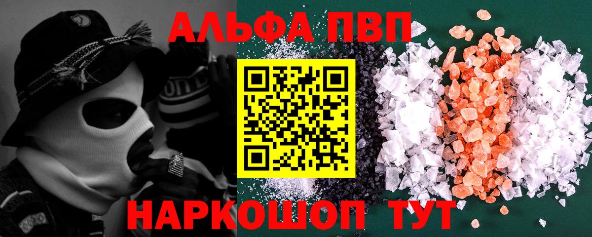 Альфа ПВП СК Владимир