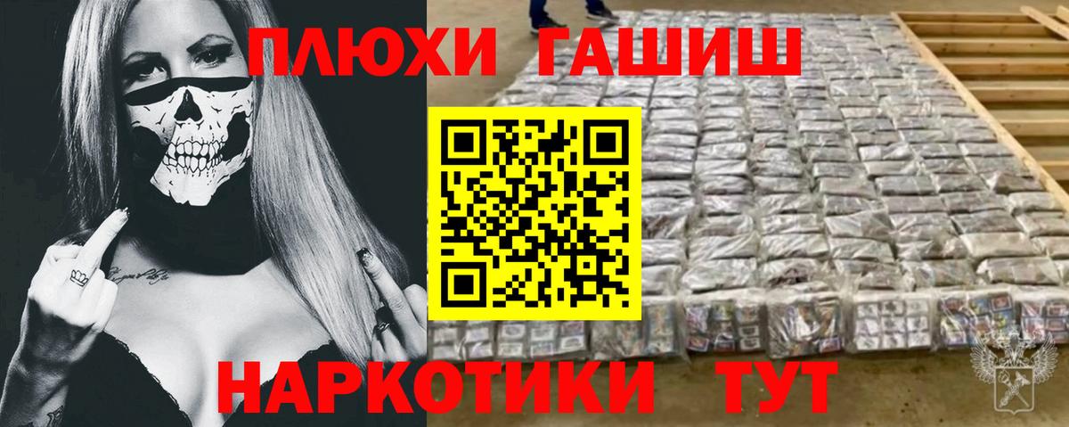 Владимир  Гарик  Гашиш гарик  Вход с VPN  ГАШ Premium 
