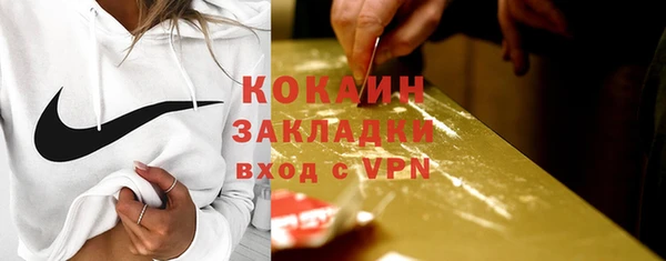 apvp Вяземский