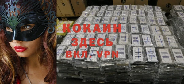 apvp Вяземский
