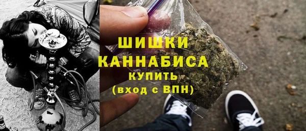apvp Вяземский