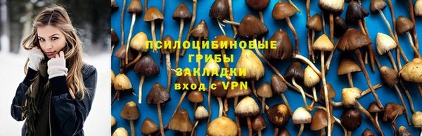 apvp Вяземский