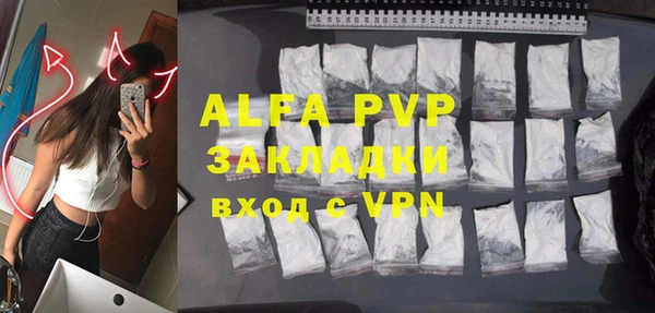 apvp Вяземский