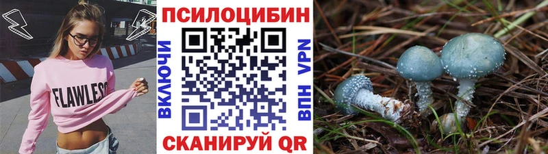 МЕГА зеркало  дарнет шоп  Владимир  Галлюциногенные грибы мицелий 