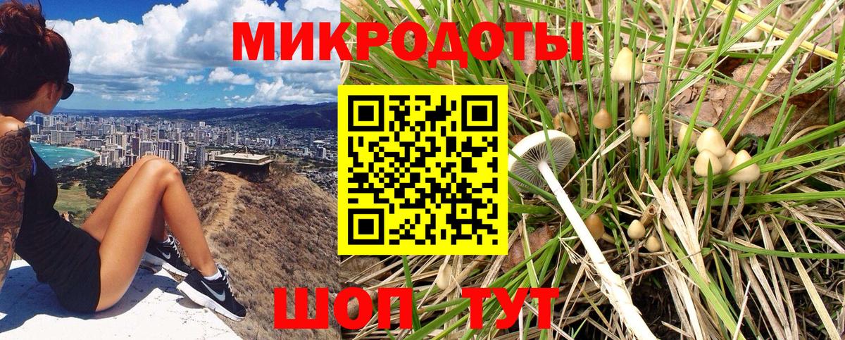 Псилоцибиновые грибы прущие грибы  закладка  Владимир  Вход с VPN 