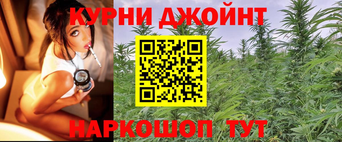 Бошки марихуана MAZAR Владимир